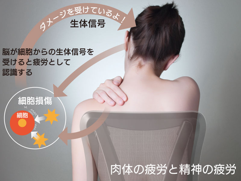 Thumbnail Image 1