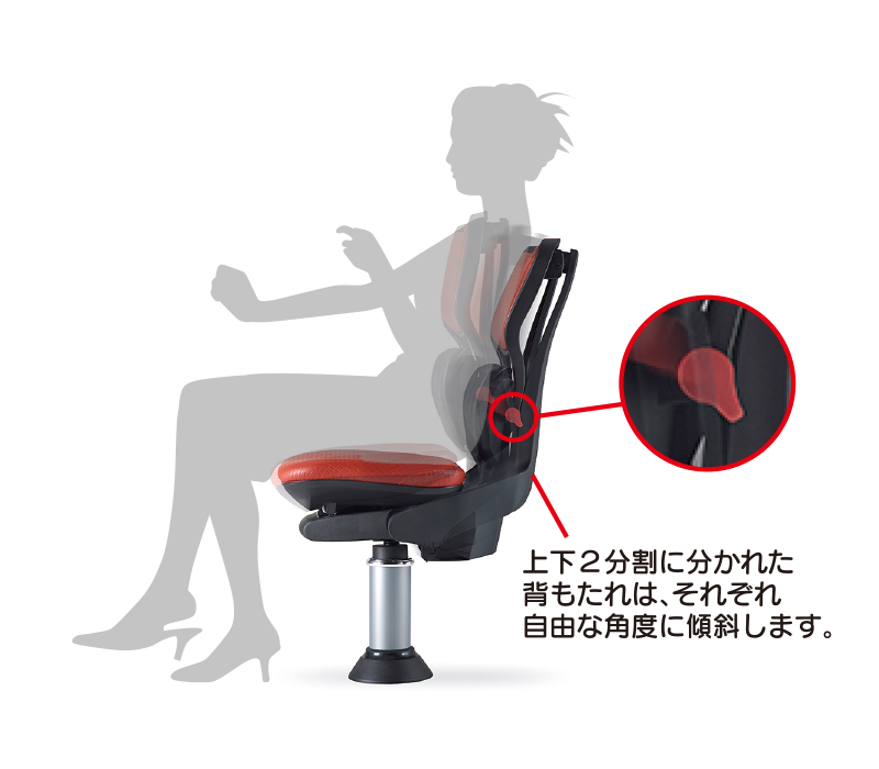 キドニーモーション